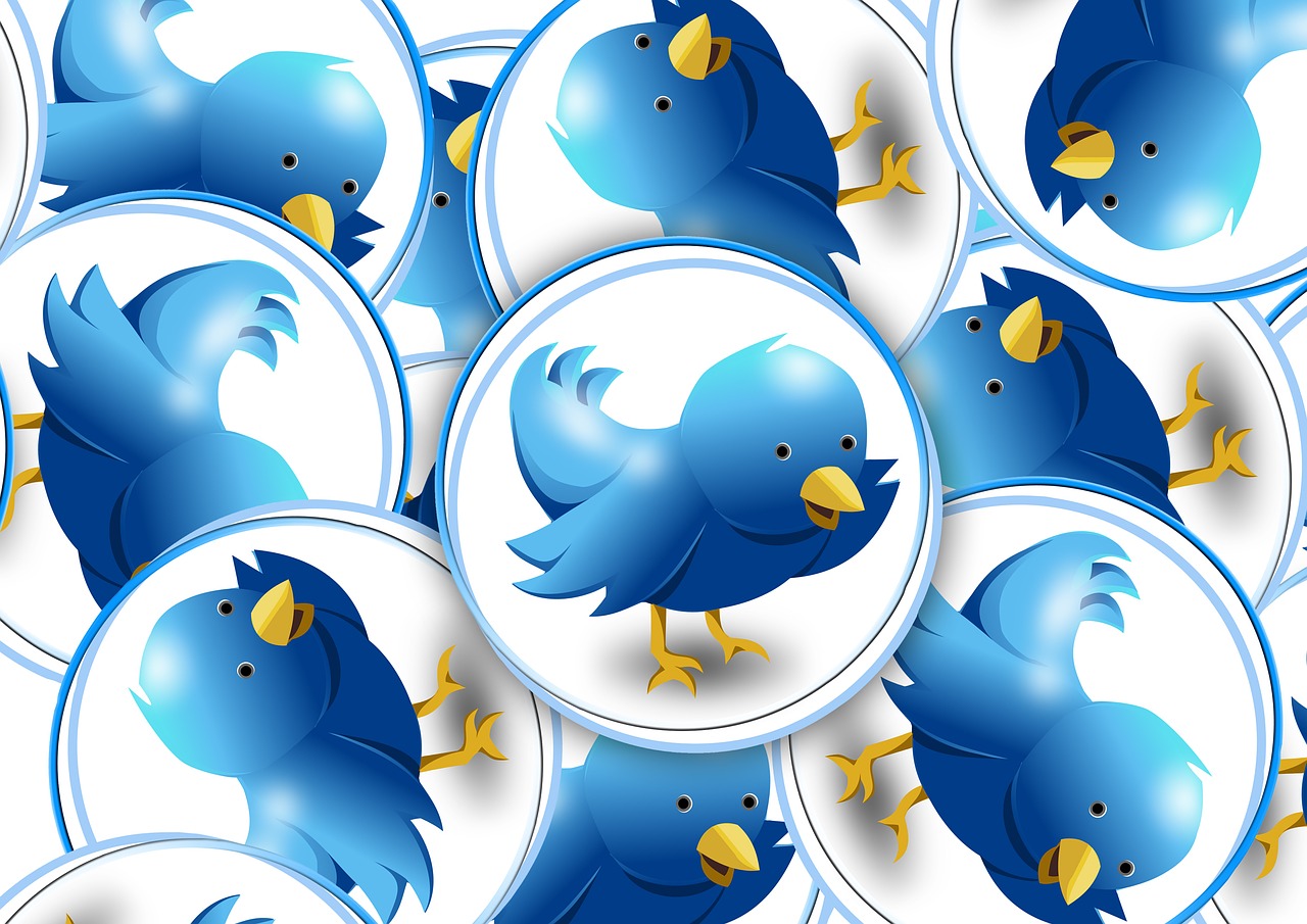 twitter, logo, chirp-848528.jpg